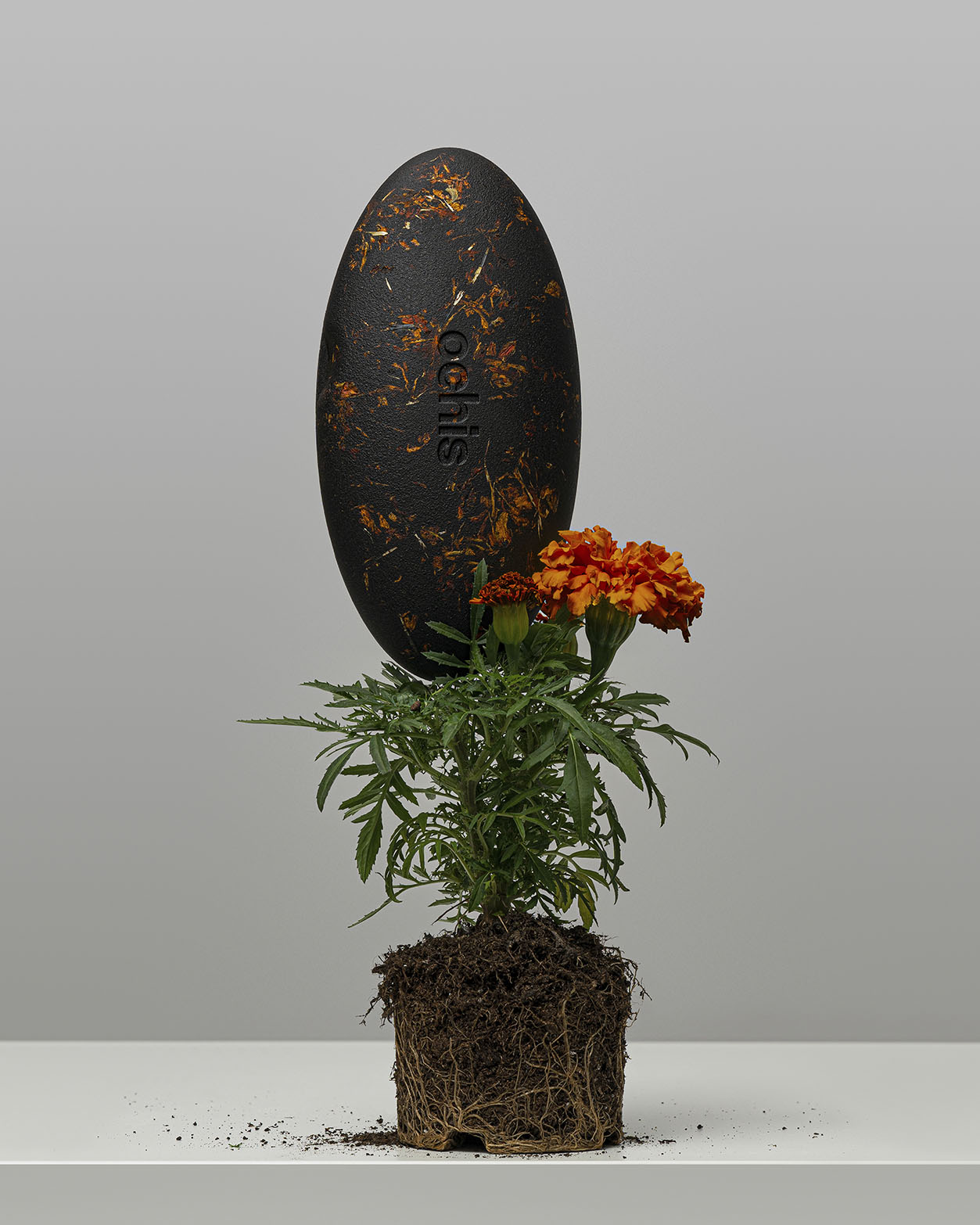 Unique marigold-accented case standing upright next to a marigold plant, symbolizing its eco-conscious design