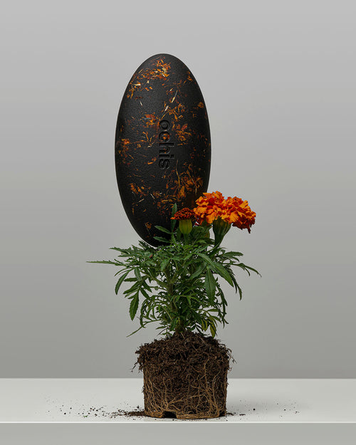 Unique marigold-accented case standing upright next to a marigold plant, symbolizing its eco-conscious design