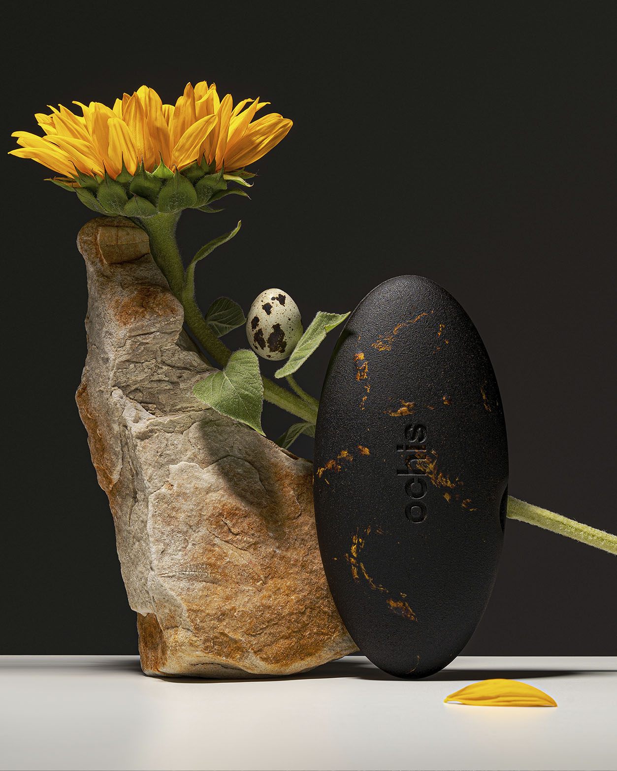 Sunflower-decorated glasses case standing next to a sunflower, showcasing its sustainable materials and unique texture