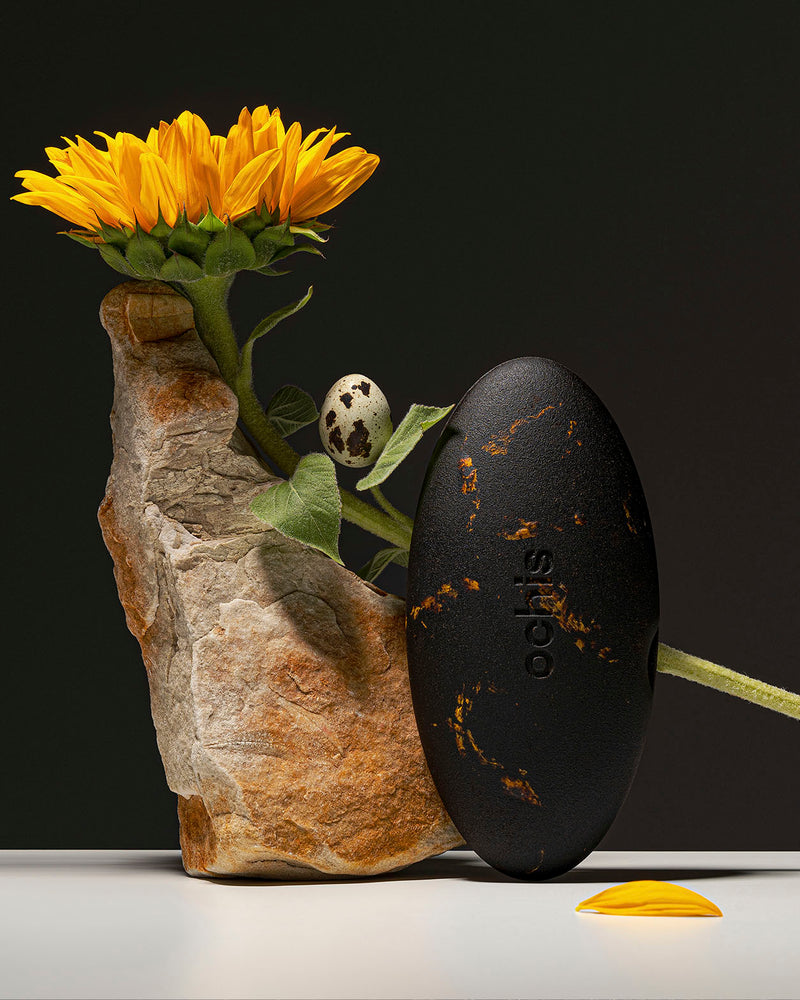 Open coffee-based case featuring delicate sunflower petals, blending eco-friendly design with a natural artistic flair