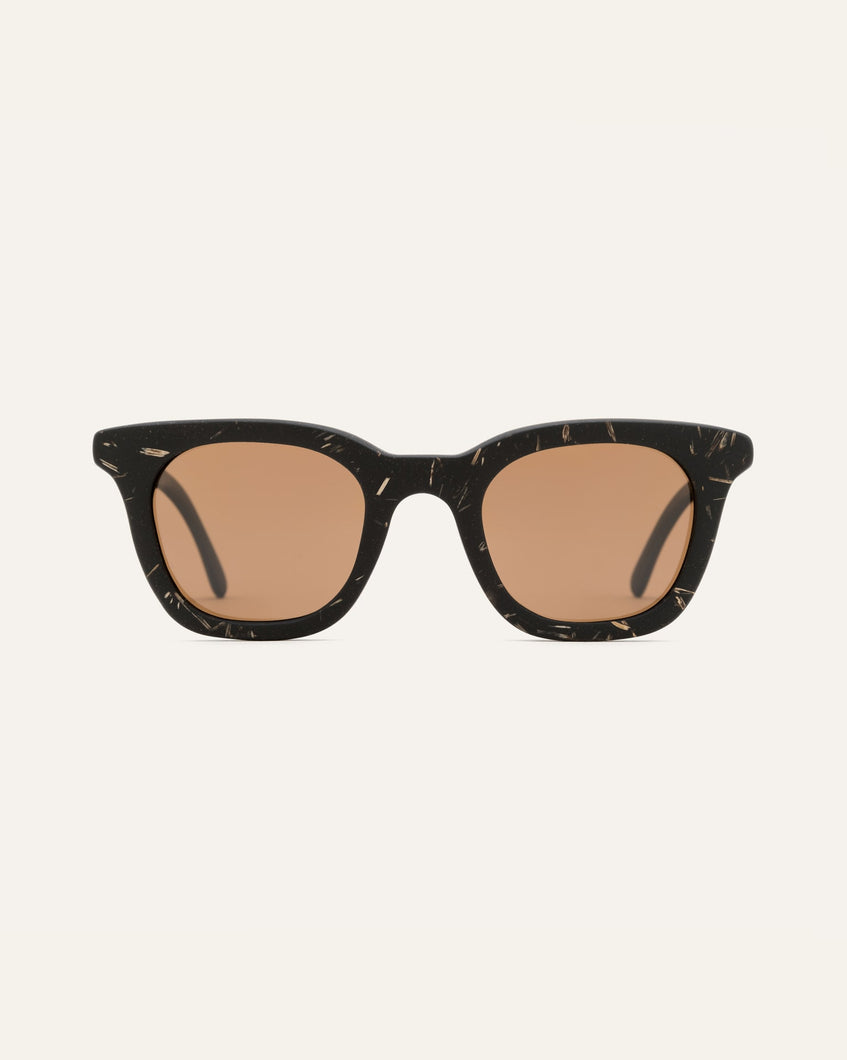 wayfarers sunglasses with polarizing filter