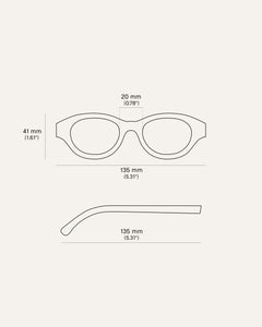 dayla glasses parameters