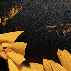 Eyewear case - Volya